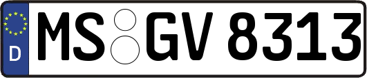 MS-GV8313