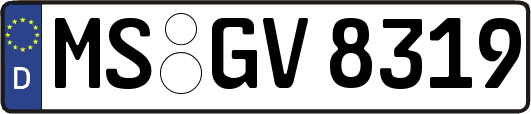 MS-GV8319