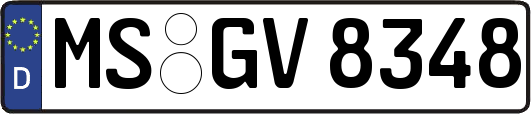 MS-GV8348