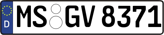 MS-GV8371