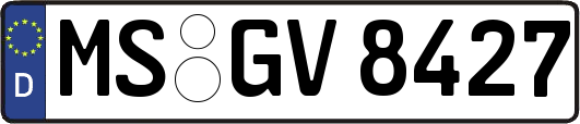 MS-GV8427