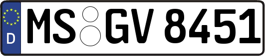 MS-GV8451