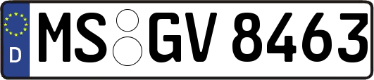 MS-GV8463