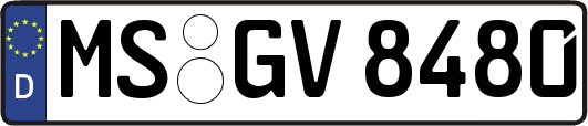 MS-GV8480