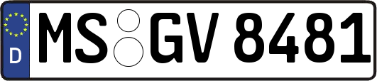 MS-GV8481