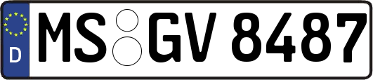 MS-GV8487