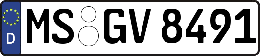 MS-GV8491
