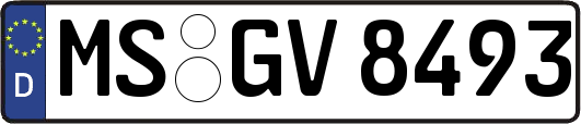 MS-GV8493