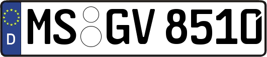 MS-GV8510