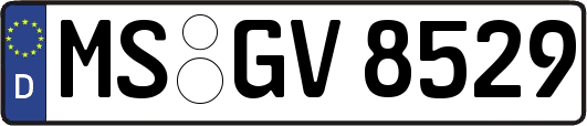 MS-GV8529
