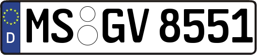 MS-GV8551