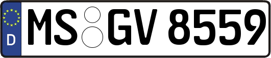 MS-GV8559