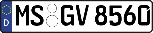 MS-GV8560