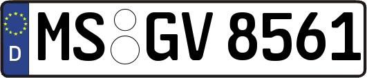 MS-GV8561