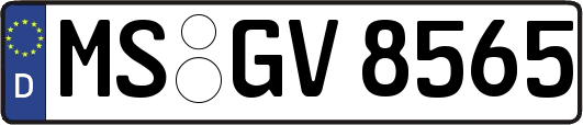 MS-GV8565