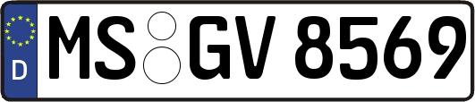 MS-GV8569