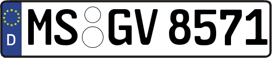 MS-GV8571