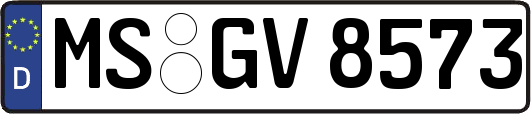 MS-GV8573