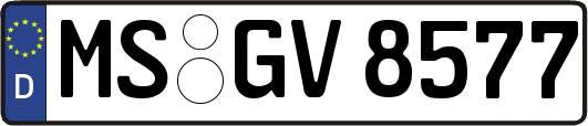MS-GV8577