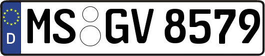 MS-GV8579