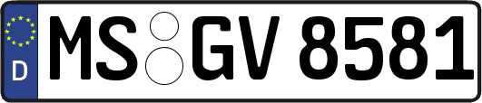 MS-GV8581