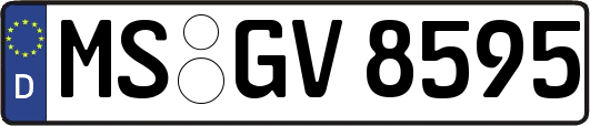 MS-GV8595