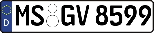 MS-GV8599