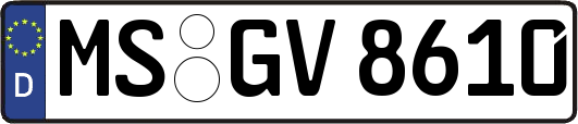MS-GV8610