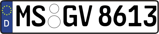 MS-GV8613