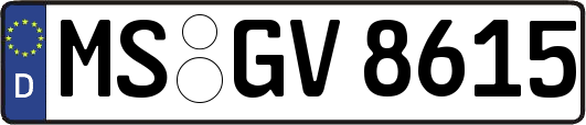 MS-GV8615