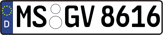 MS-GV8616