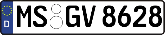 MS-GV8628