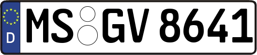 MS-GV8641