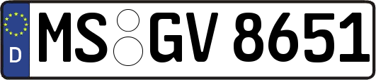 MS-GV8651