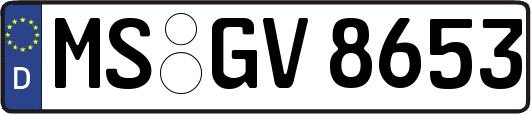 MS-GV8653