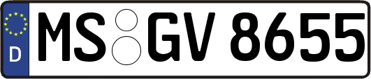 MS-GV8655