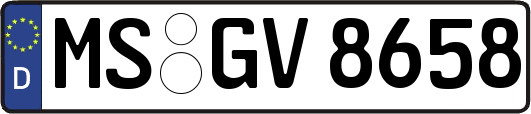 MS-GV8658