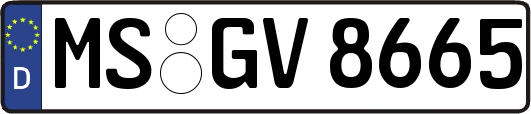 MS-GV8665