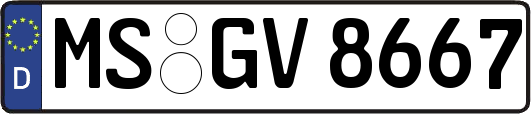 MS-GV8667