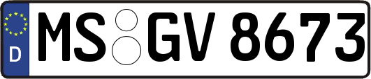 MS-GV8673