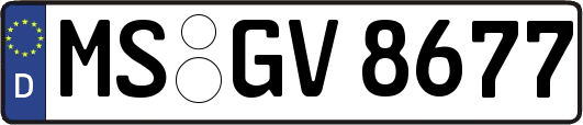 MS-GV8677