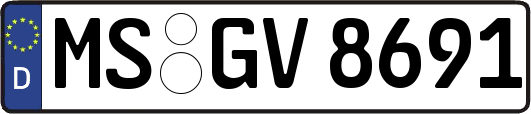 MS-GV8691
