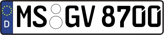 MS-GV8700