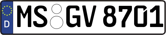 MS-GV8701