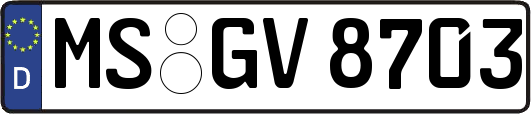 MS-GV8703