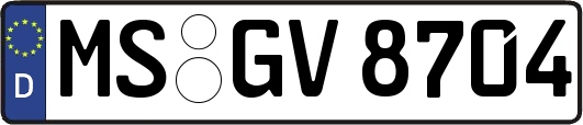 MS-GV8704