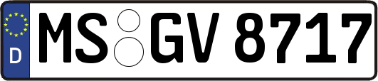 MS-GV8717