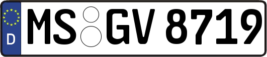 MS-GV8719