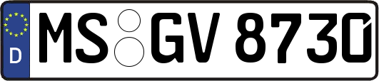 MS-GV8730