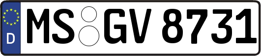 MS-GV8731